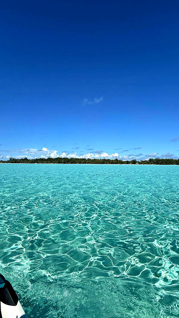 emilyelizabbeth image ~ Altpins