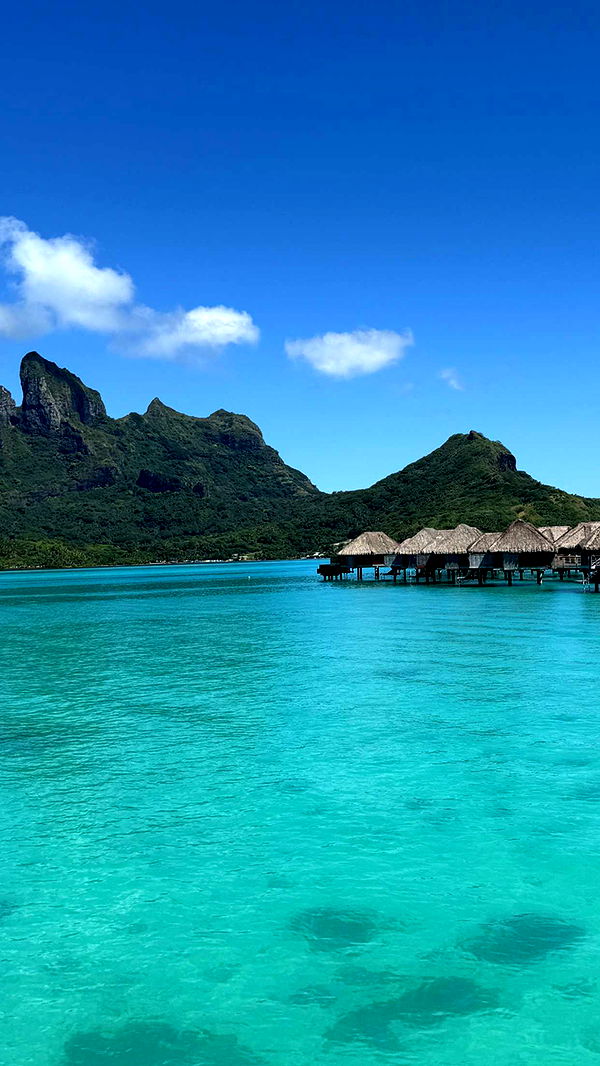 emilyelizabbeth image ~ Altpins