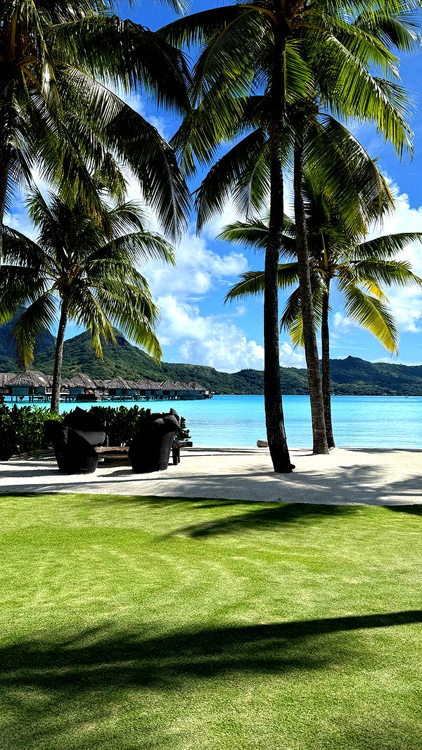 emilyelizabbeth image ~ Altpins