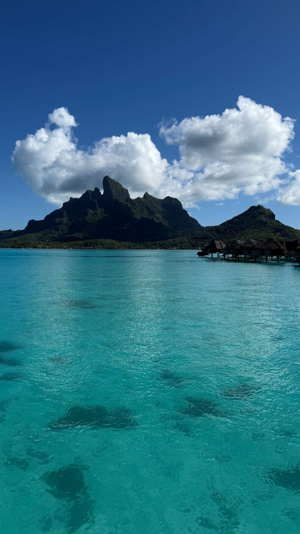 emilyelizabbeth snapchat image archive image