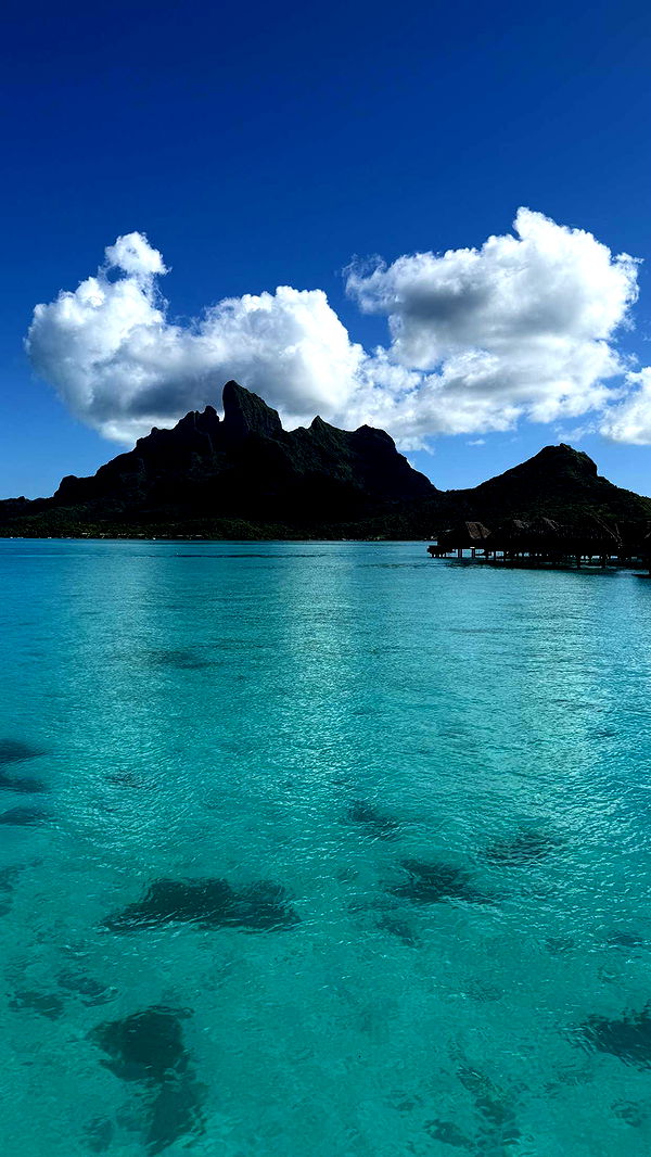 emilyelizabbeth image ~ Altpins