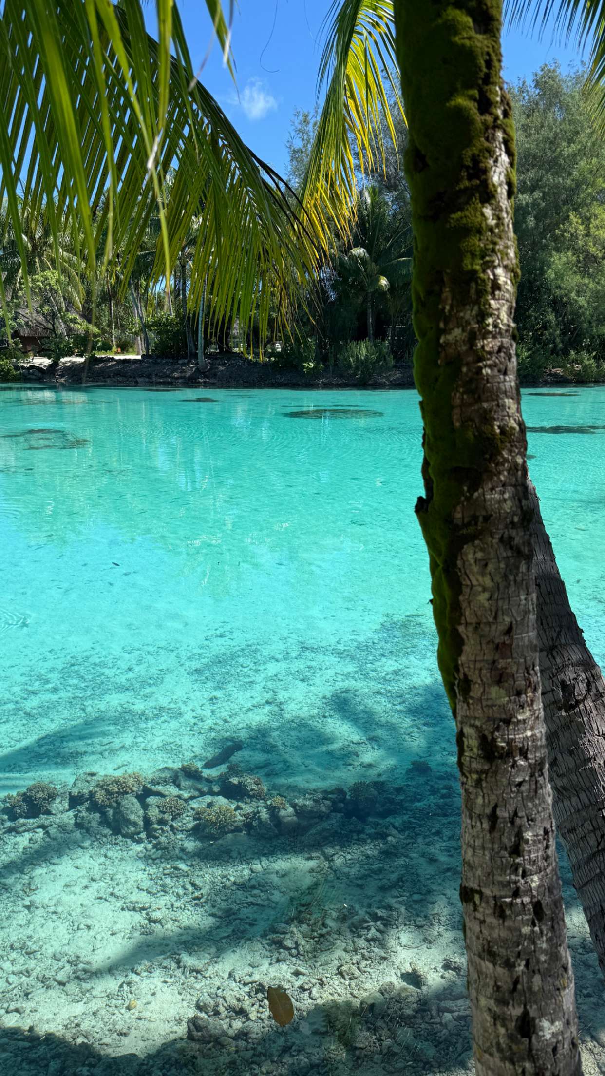 emilyelizabbeth snapchat image archive image