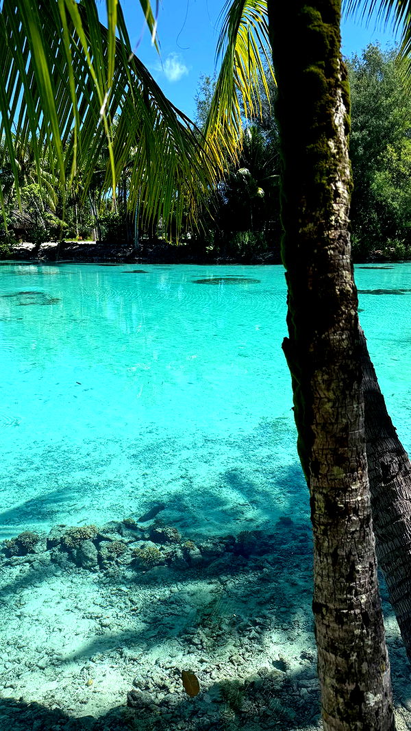 emilyelizabbeth image ~ Altpins