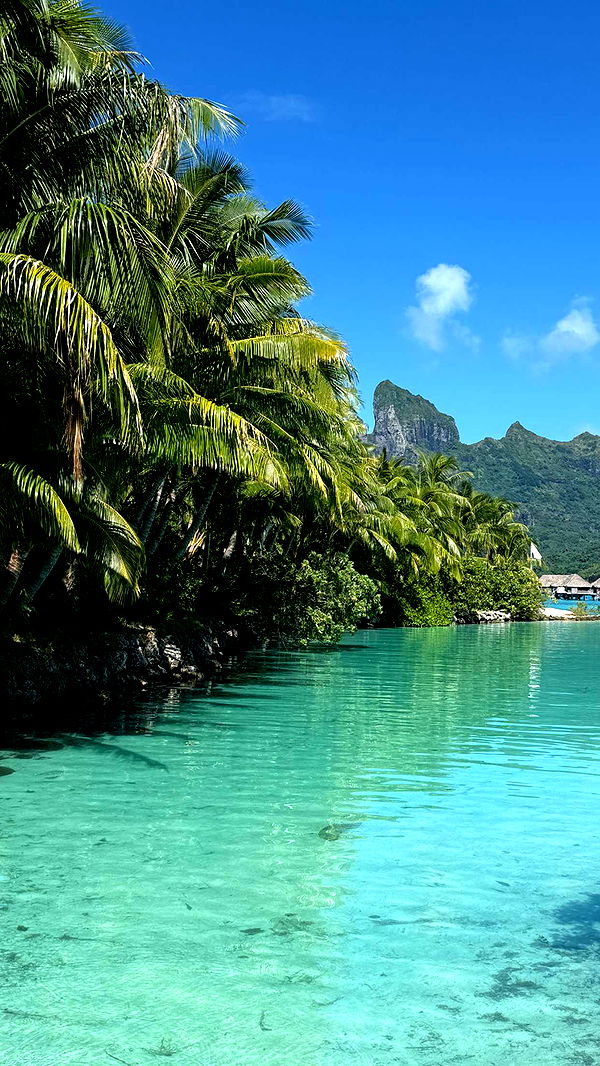 emilyelizabbeth image ~ Altpins