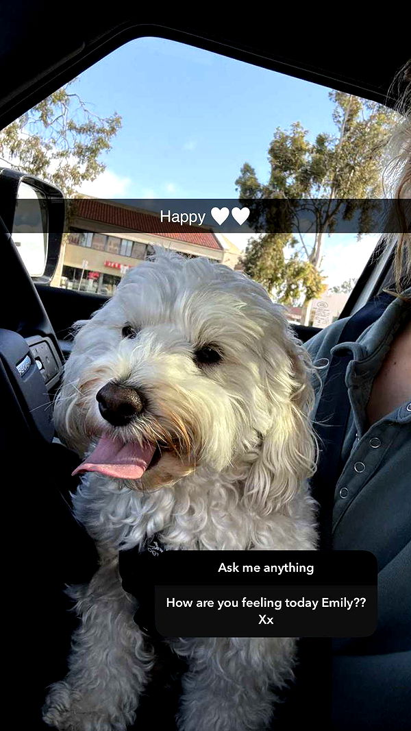 emilyelizabbeth image ~ Altpins