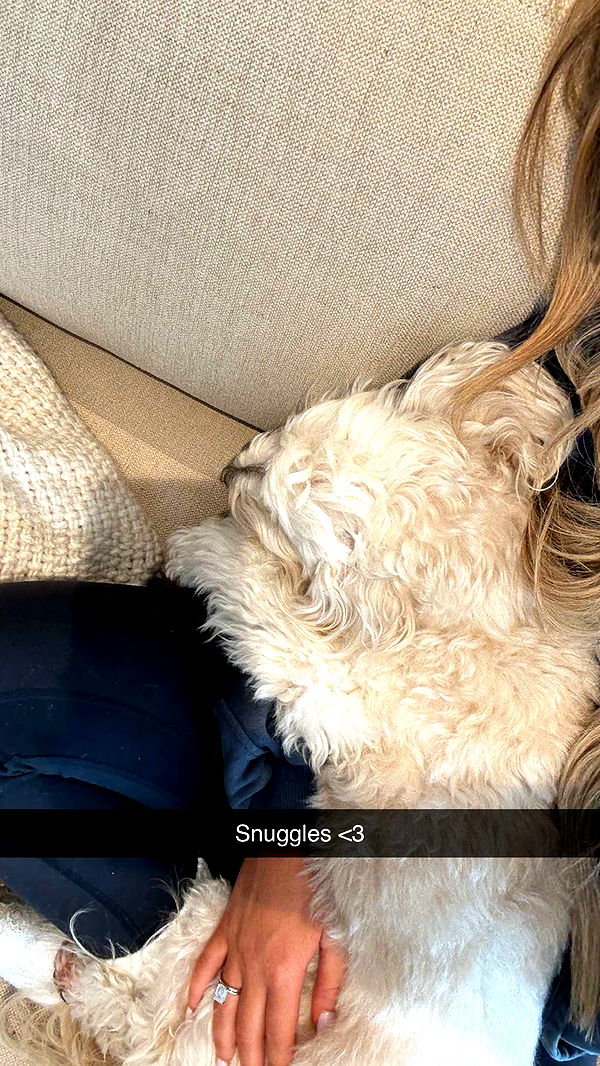 emilyelizabbeth image ~ Altpins