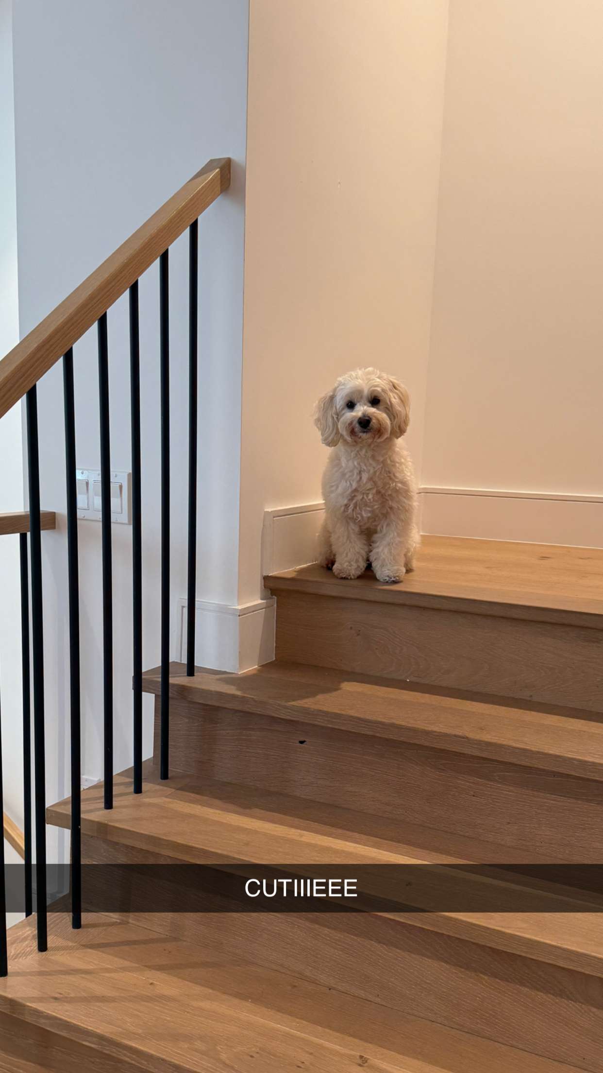 emilyelizabbeth snapchat image archive image