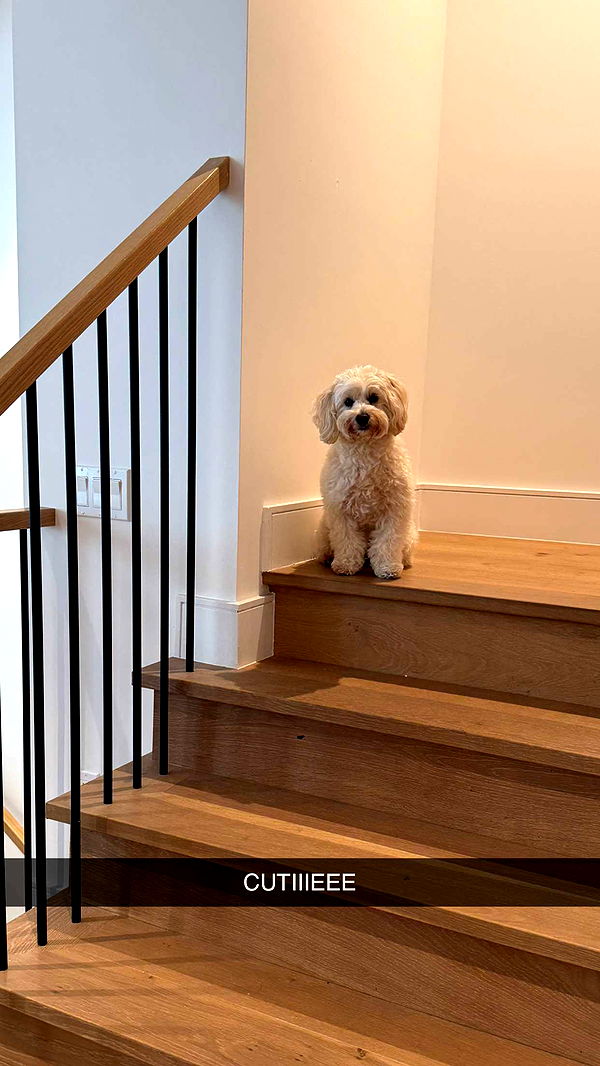 emilyelizabbeth image ~ Altpins