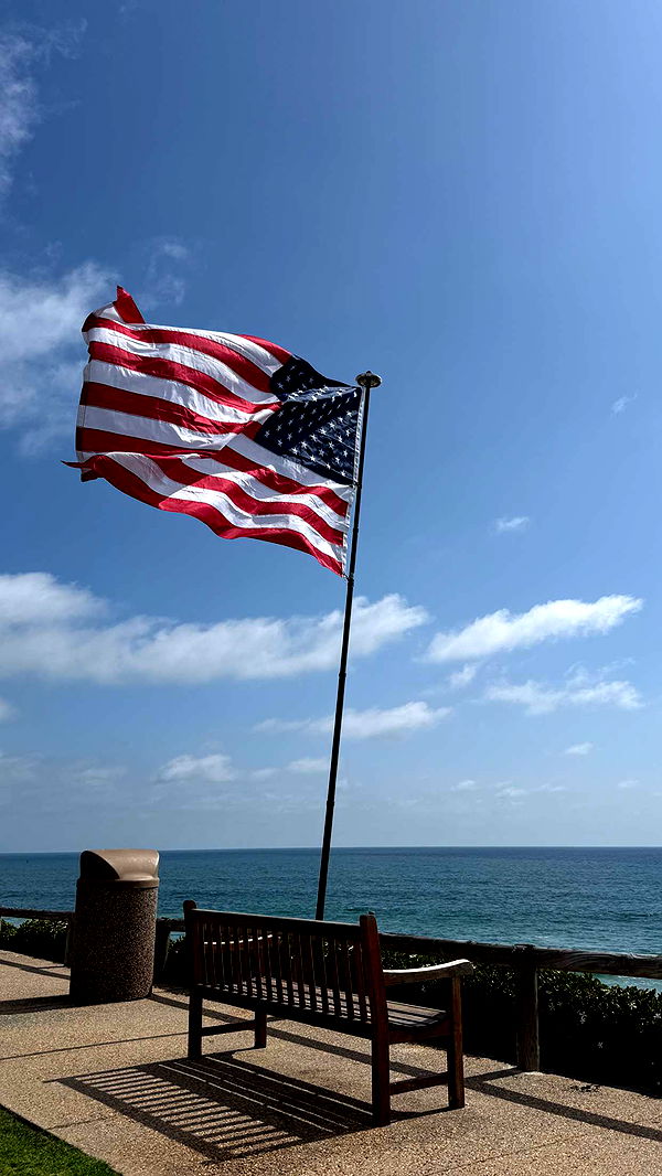 emilyelizabbeth image ~ Altpins