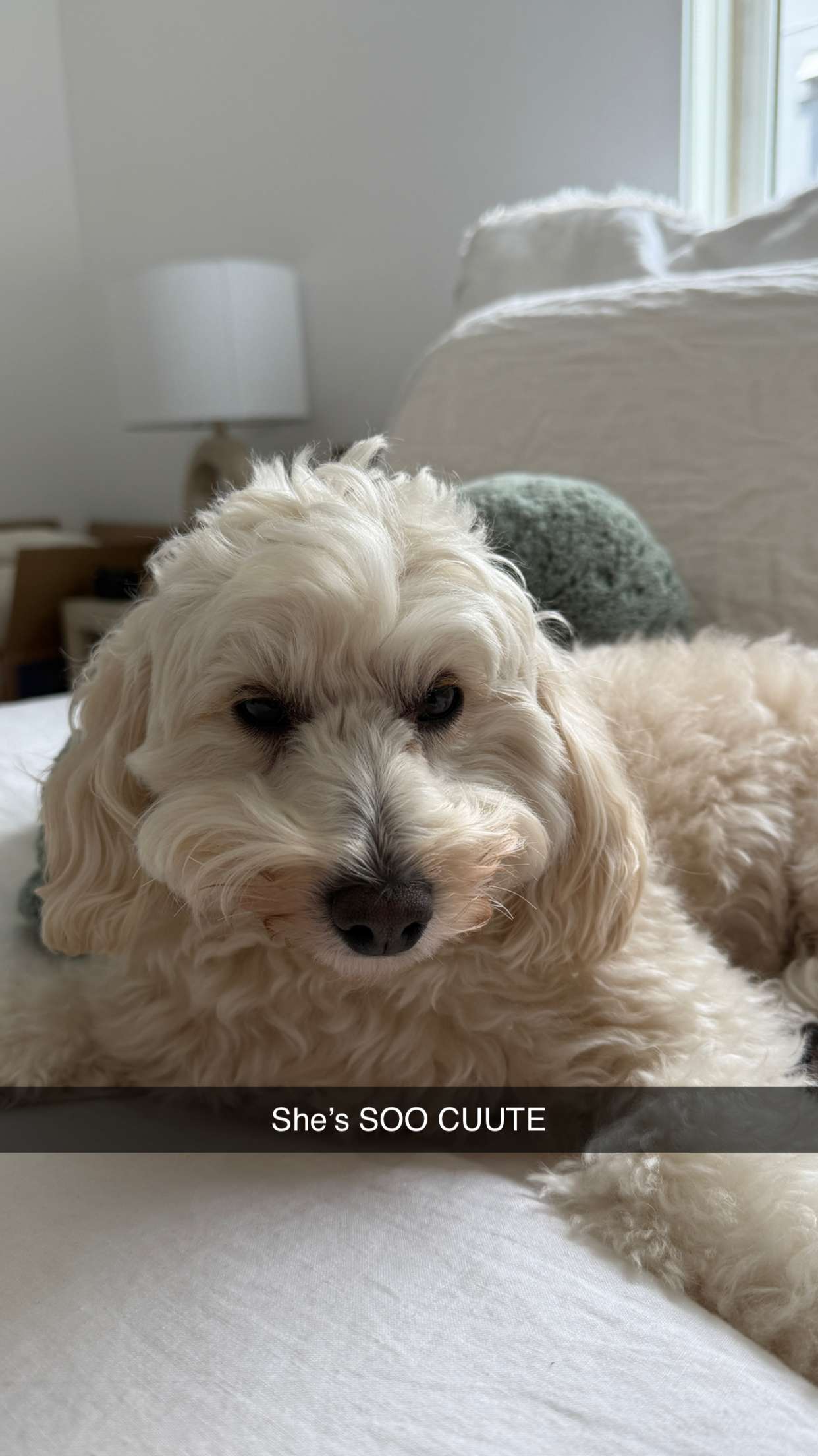 emilyelizabbeth snapchat image archive image