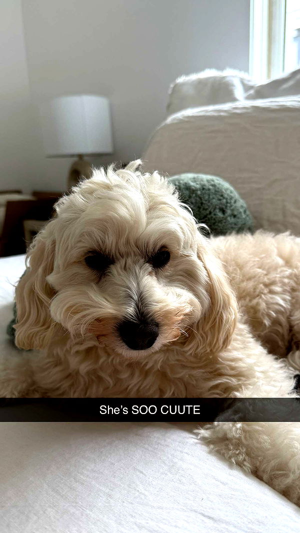 emilyelizabbeth image ~ Altpins