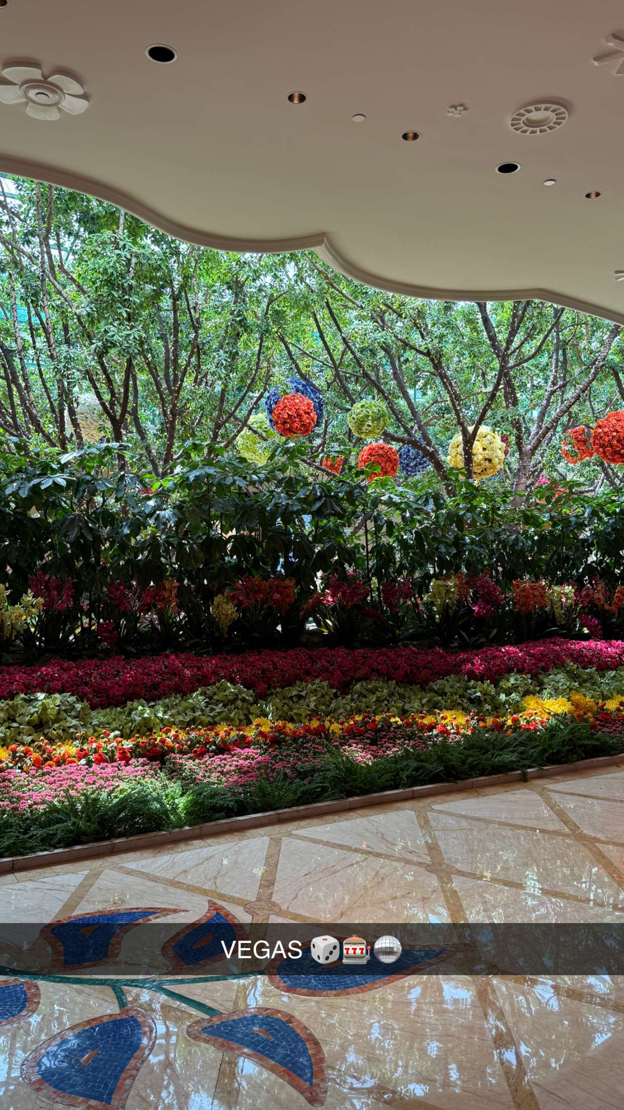 emilyelizabbeth snapchat image archive image