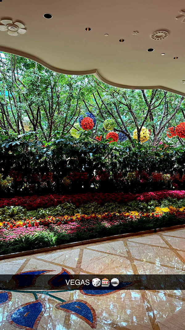 emilyelizabbeth image ~ Altpins