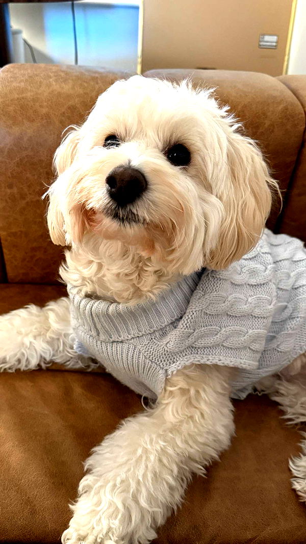 emilyelizabbeth image ~ Altpins