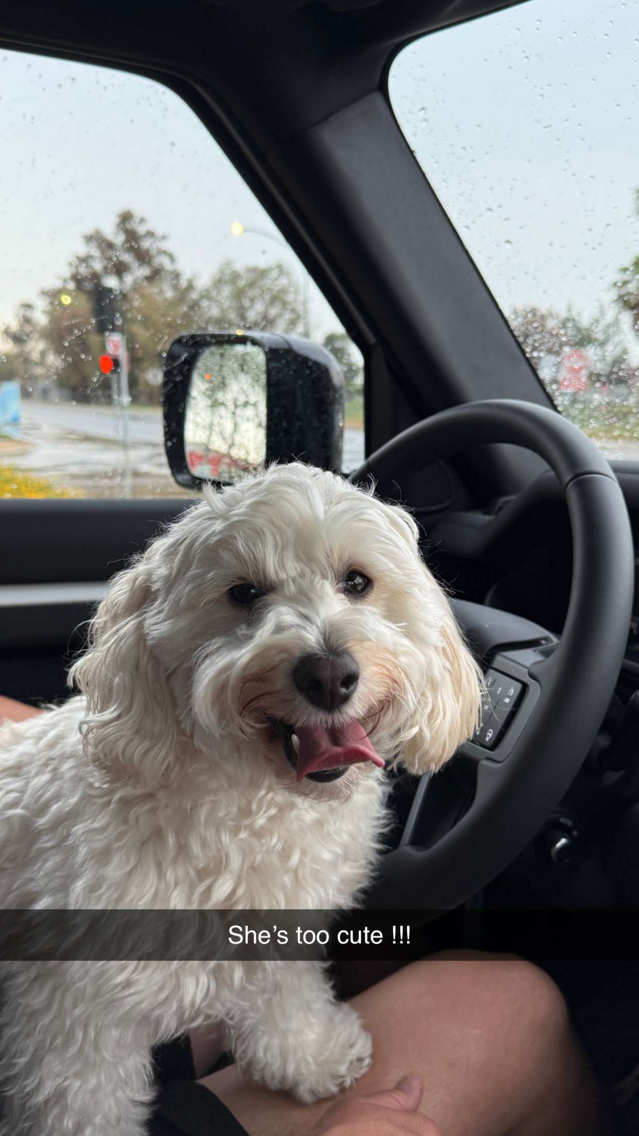 emilyelizabbeth snapchat image archive image