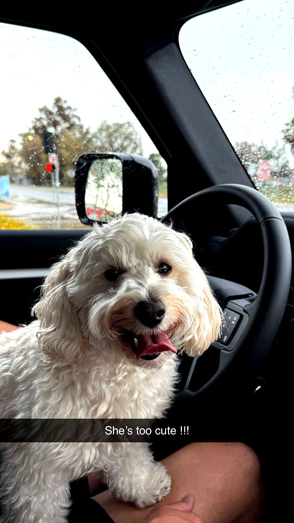 emilyelizabbeth image ~ Altpins