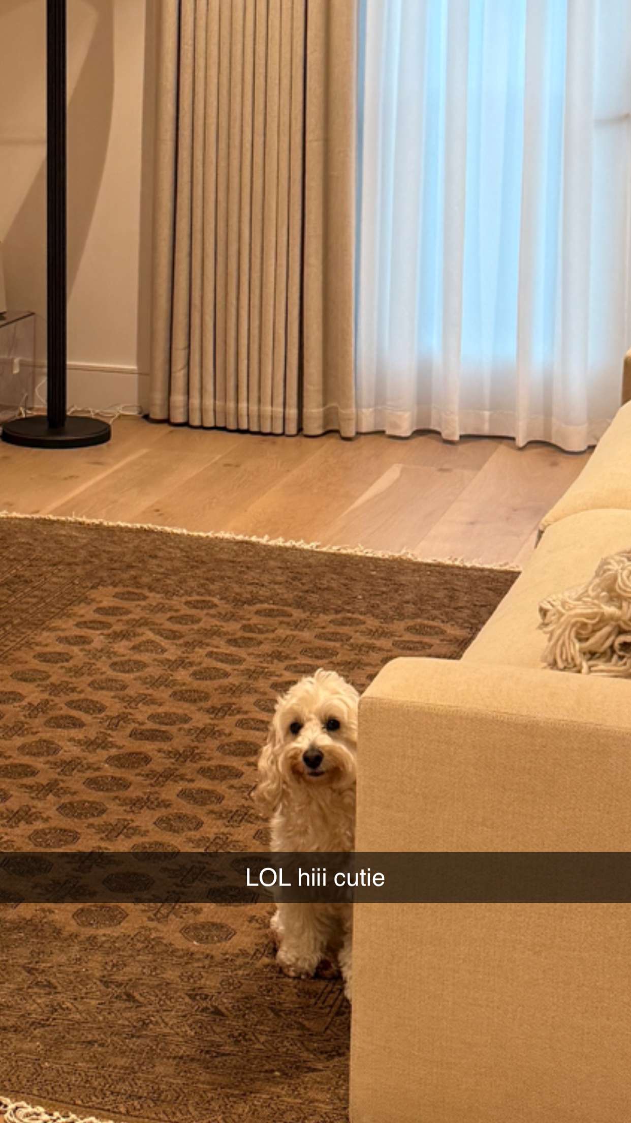 emilyelizabbeth snapchat image archive image