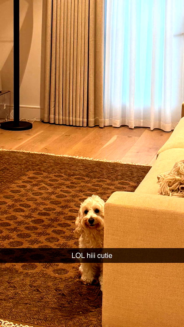 emilyelizabbeth image ~ Altpins