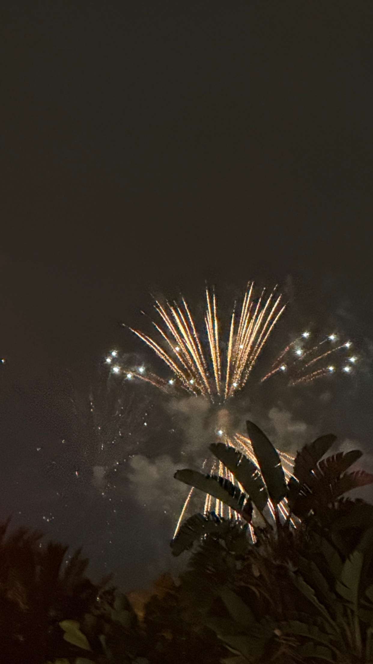 emilyelizabbeth snapchat image archive image