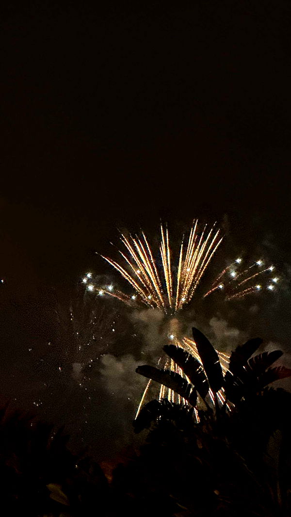 emilyelizabbeth image ~ Altpins