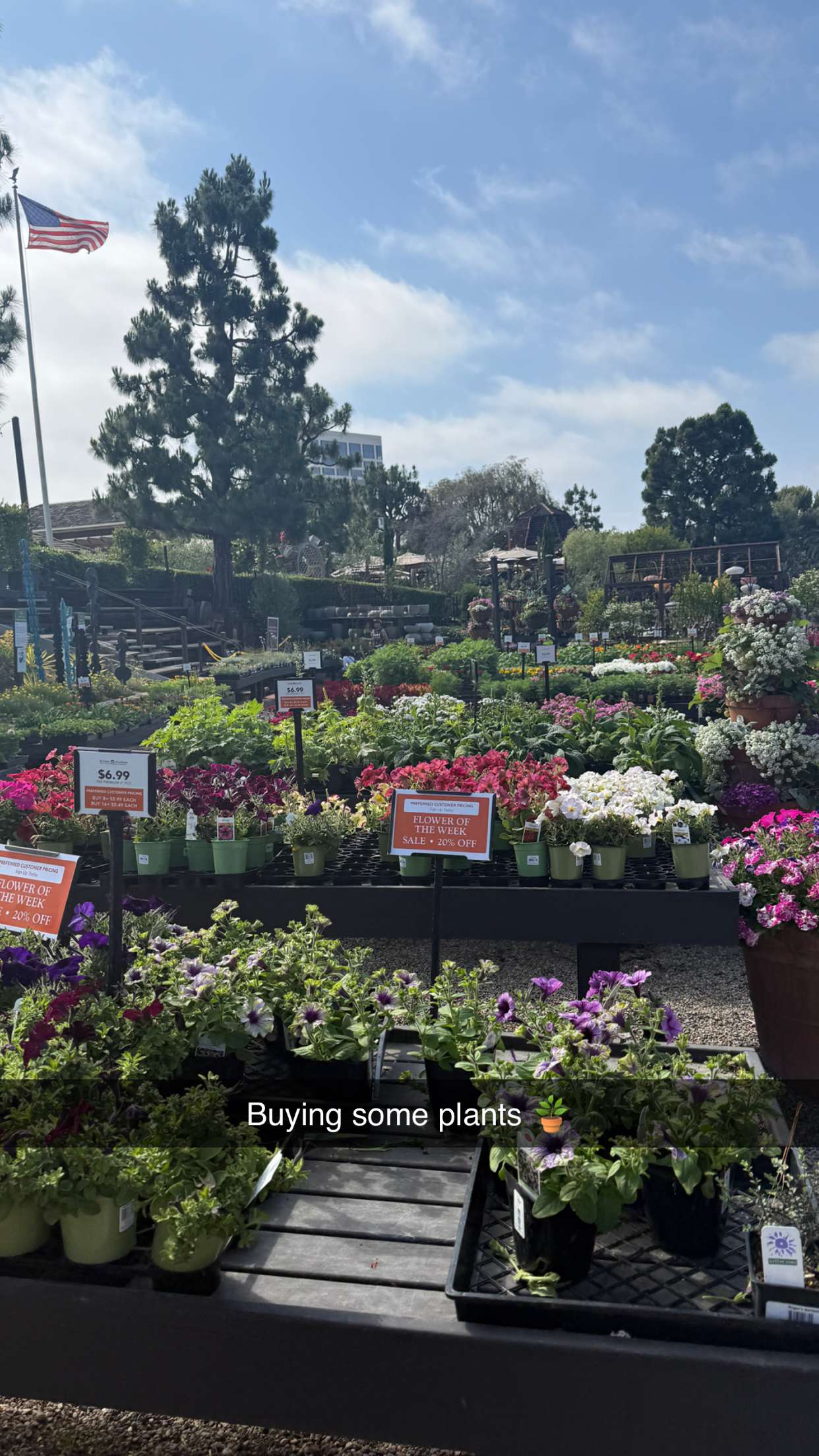 emilyelizabbeth snapchat image archive image