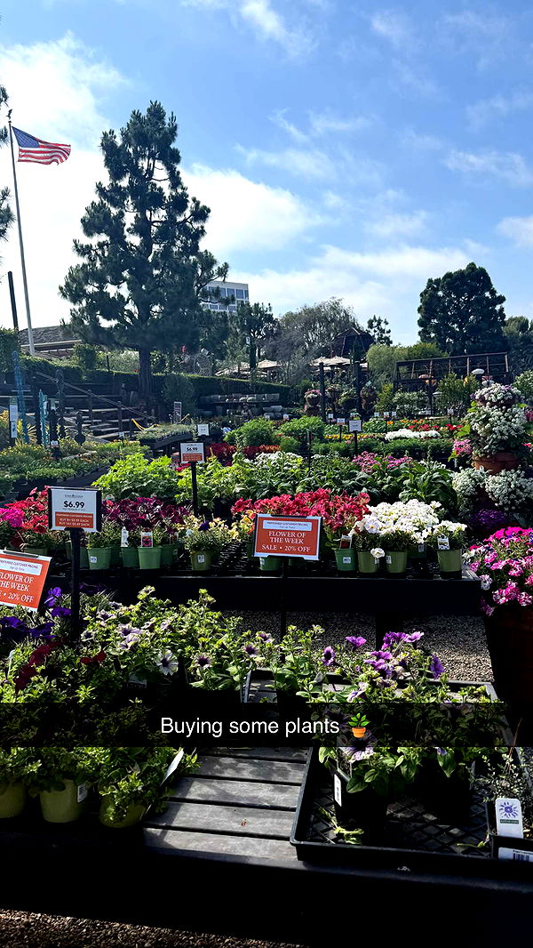 emilyelizabbeth image ~ Altpins