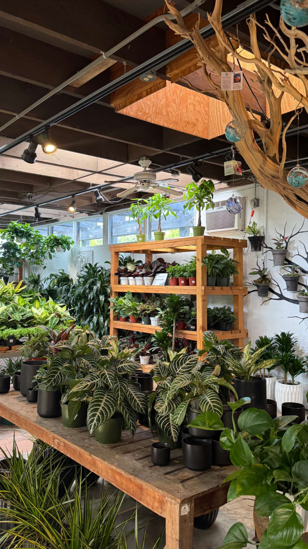 emilyelizabbeth snapchat image archive image