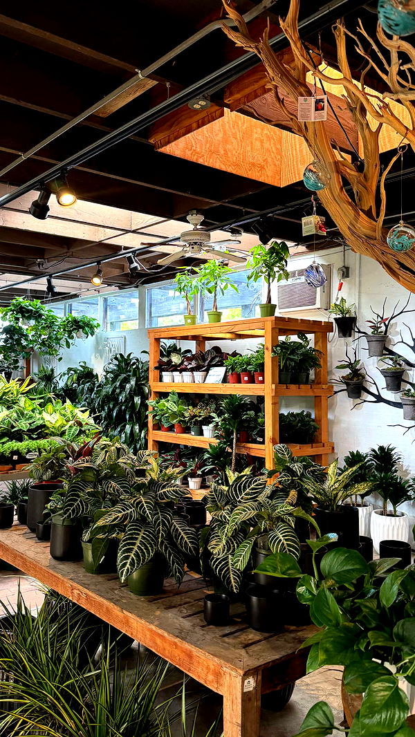 emilyelizabbeth image ~ Altpins