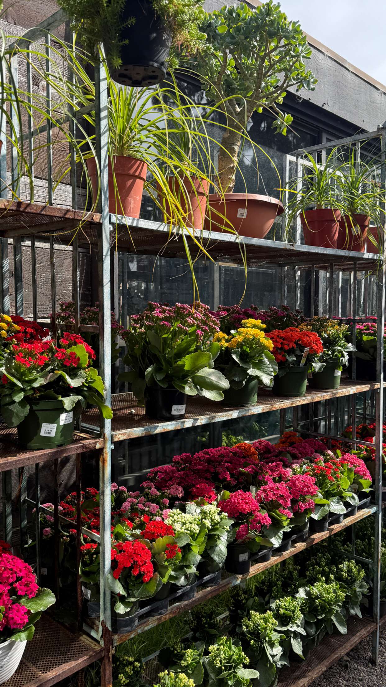 emilyelizabbeth snapchat image archive image