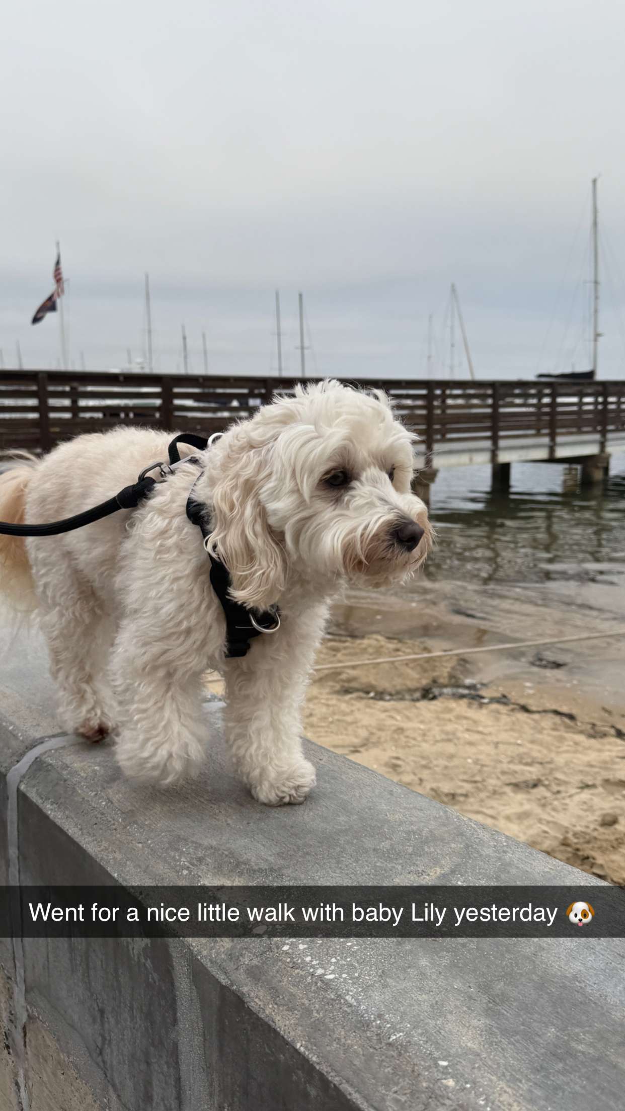 emilyelizabbeth snapchat image archive image