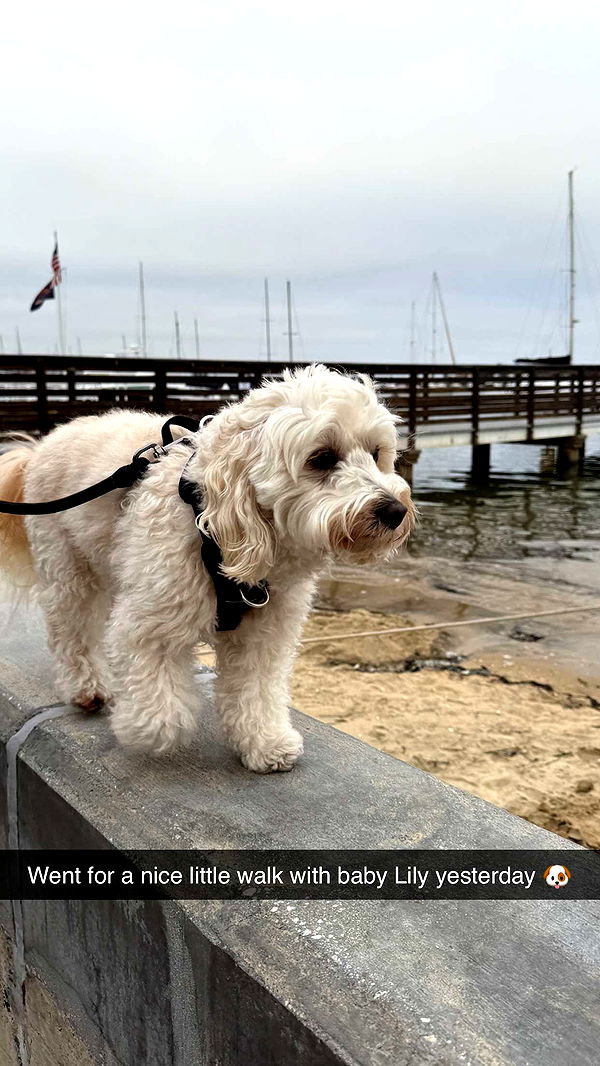 emilyelizabbeth image ~ Altpins