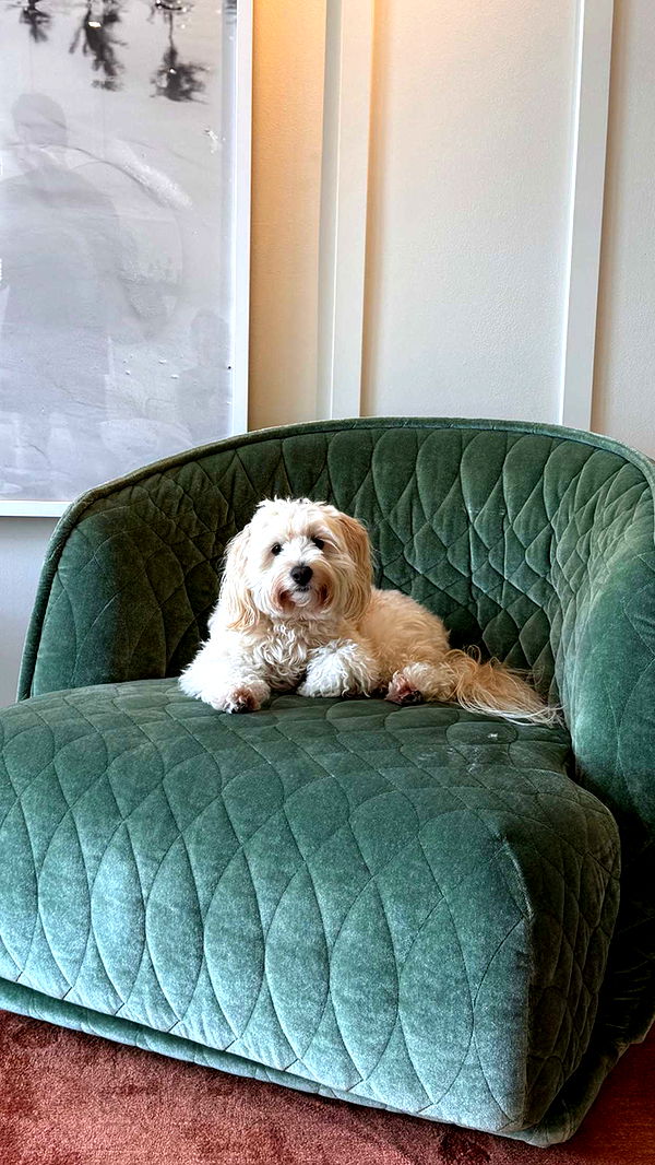 emilyelizabbeth image ~ Altpins