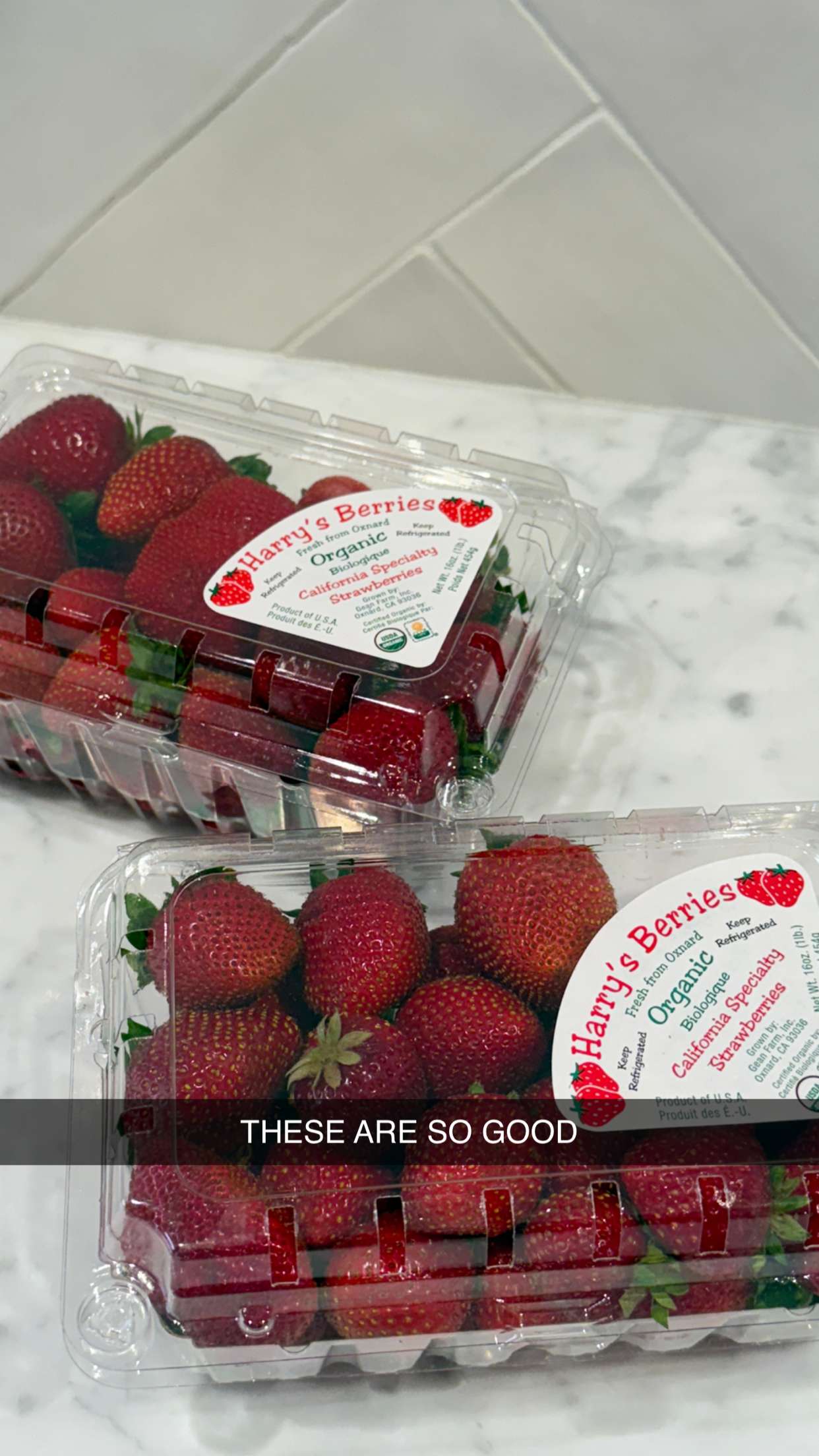 emilyelizabbeth snapchat image archive image