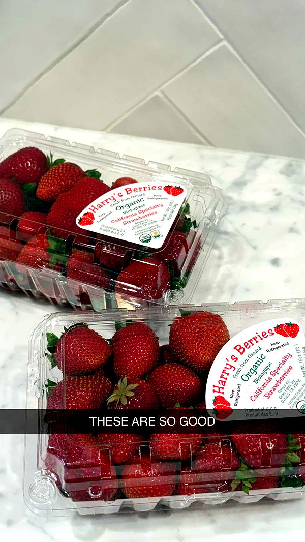 emilyelizabbeth image ~ Altpins