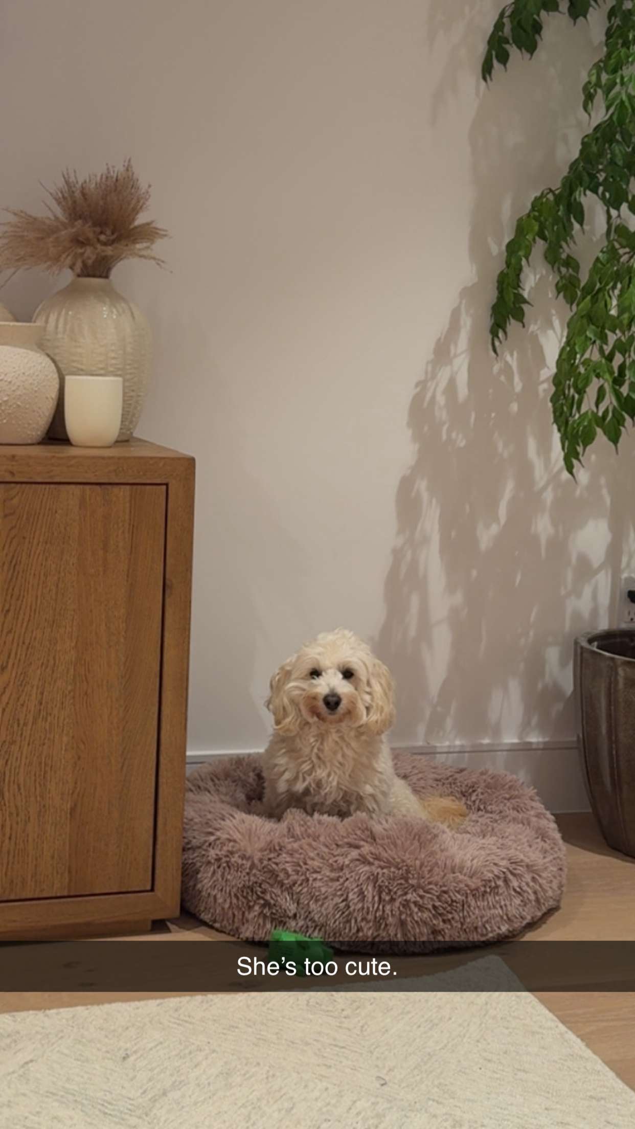 emilyelizabbeth snapchat image archive image