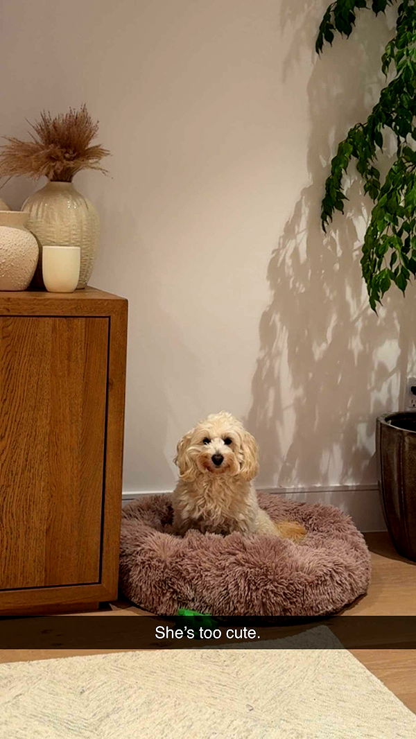 emilyelizabbeth image ~ Altpins