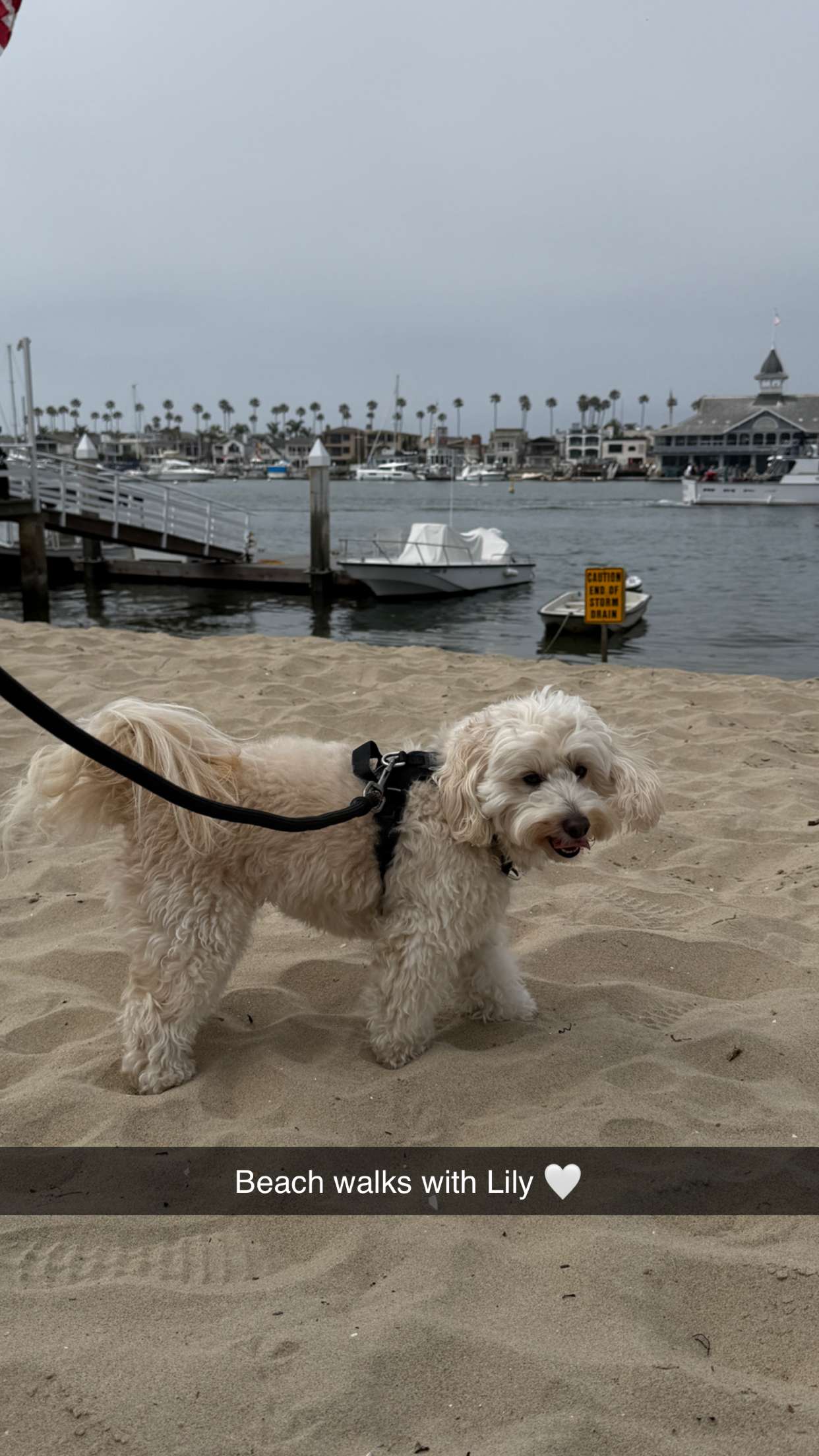 emilyelizabbeth snapchat image archive image