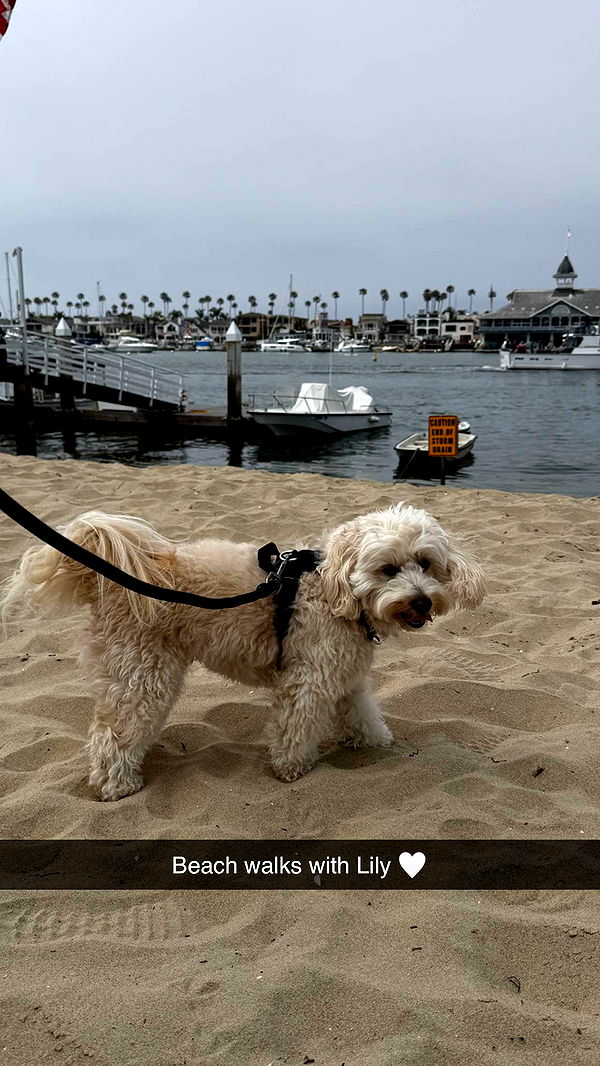 emilyelizabbeth image ~ Altpins