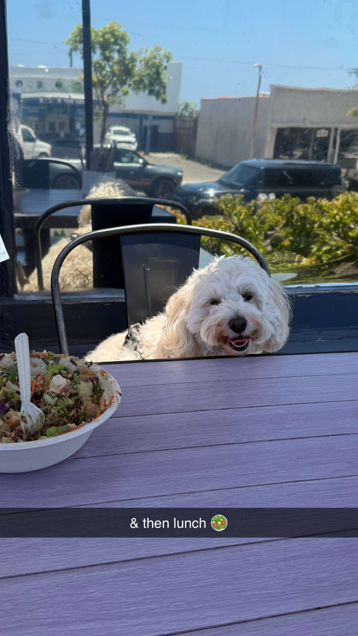 emilyelizabbeth snapchat image archive image