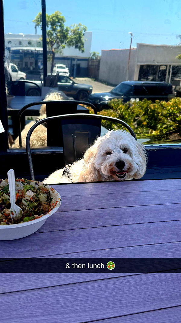 emilyelizabbeth image ~ Altpins