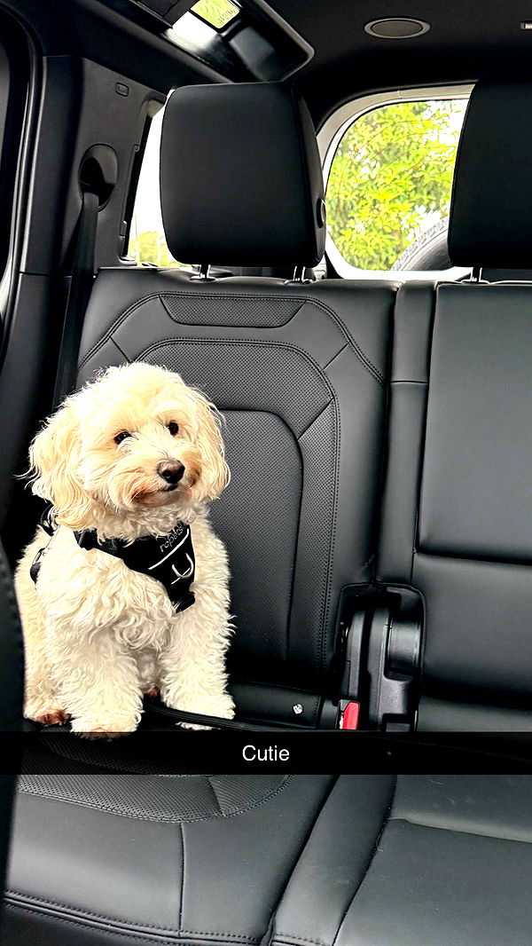 emilyelizabbeth image ~ Altpins