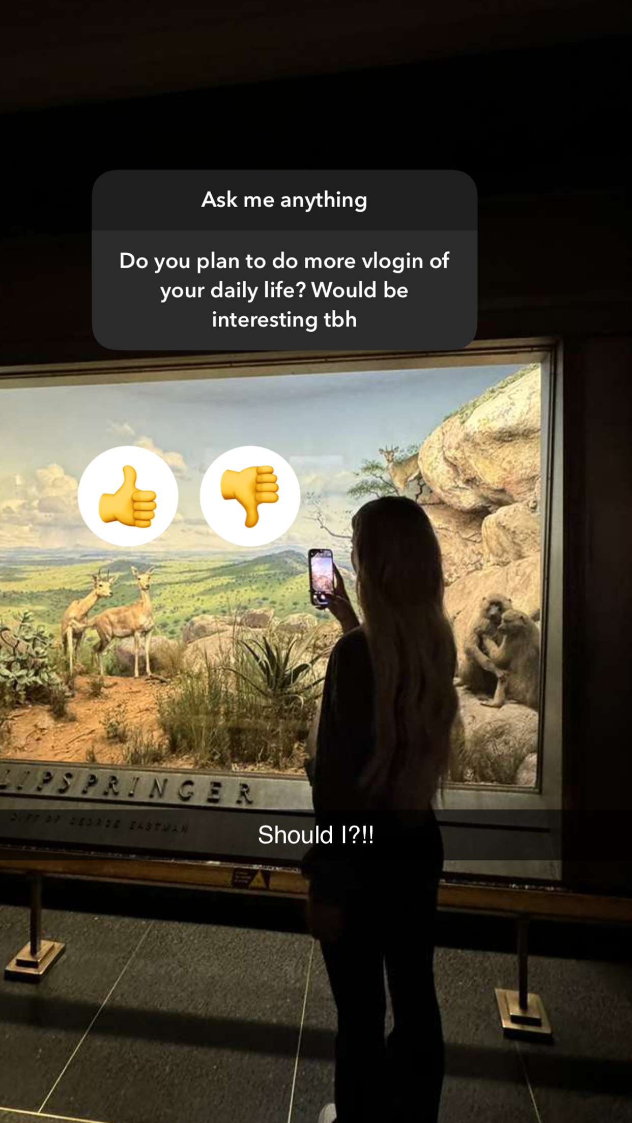 emilyelizabbeth snapchat image archive image