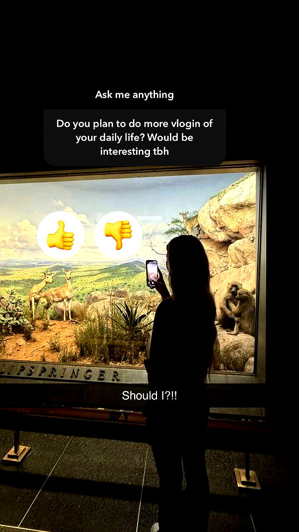 emilyelizabbeth image ~ Altpins