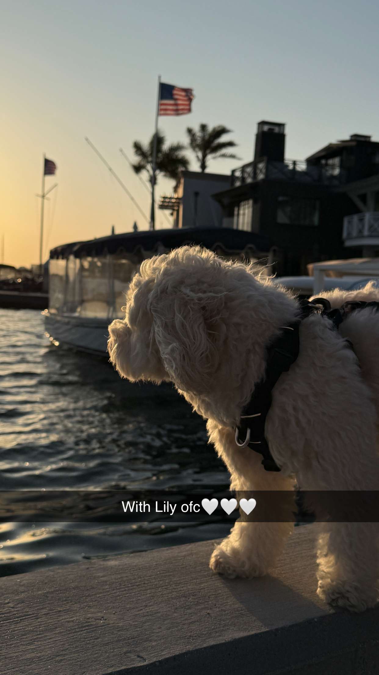 emilyelizabbeth snapchat image archive image