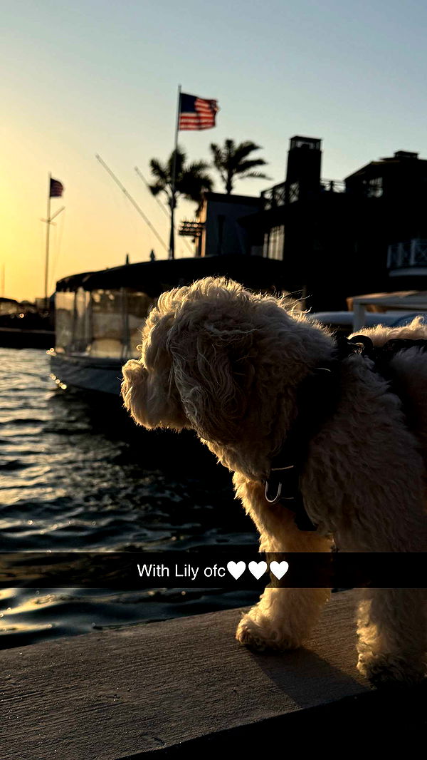 emilyelizabbeth image ~ Altpins