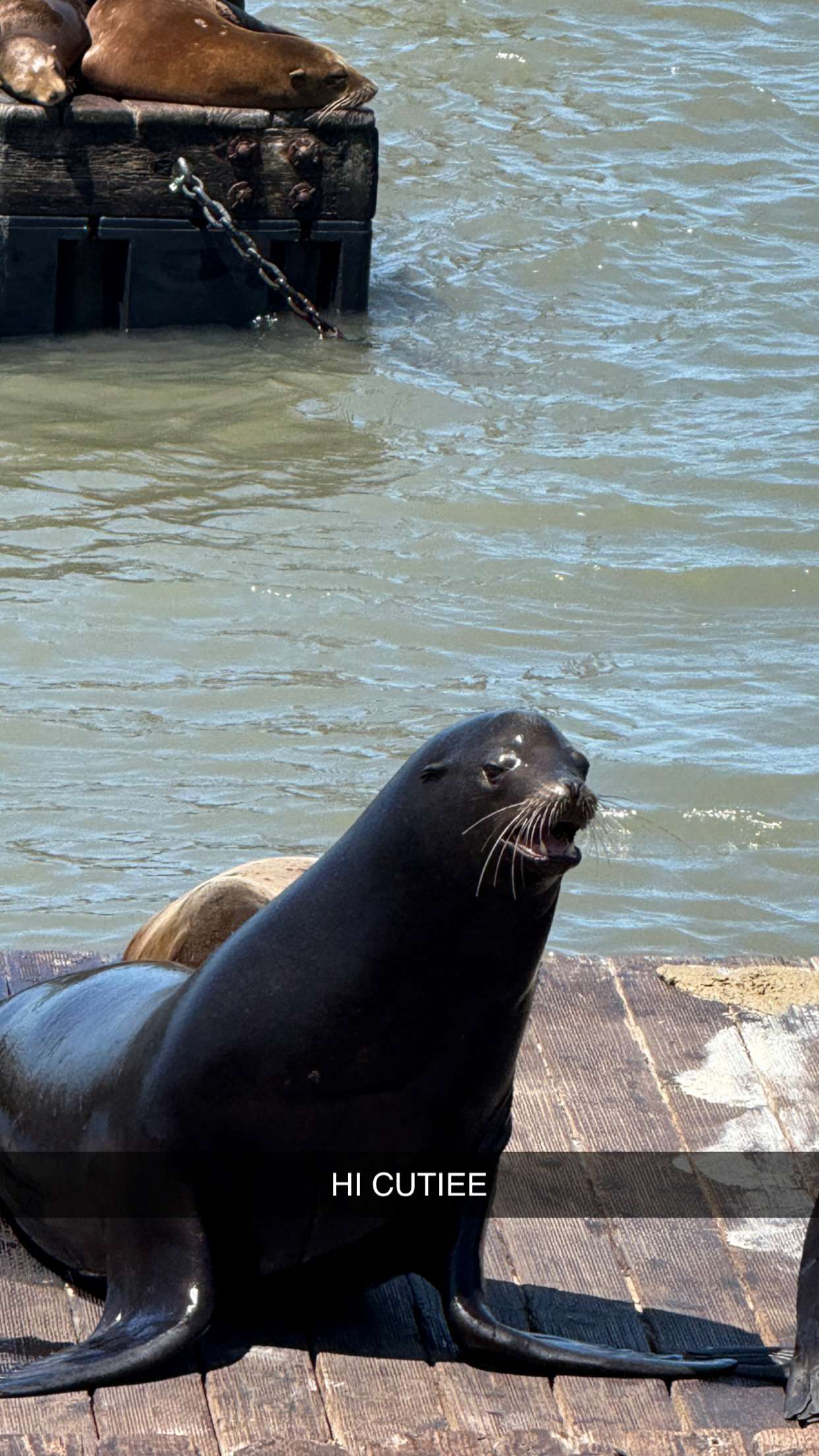 emilyelizabbeth snapchat image archive image