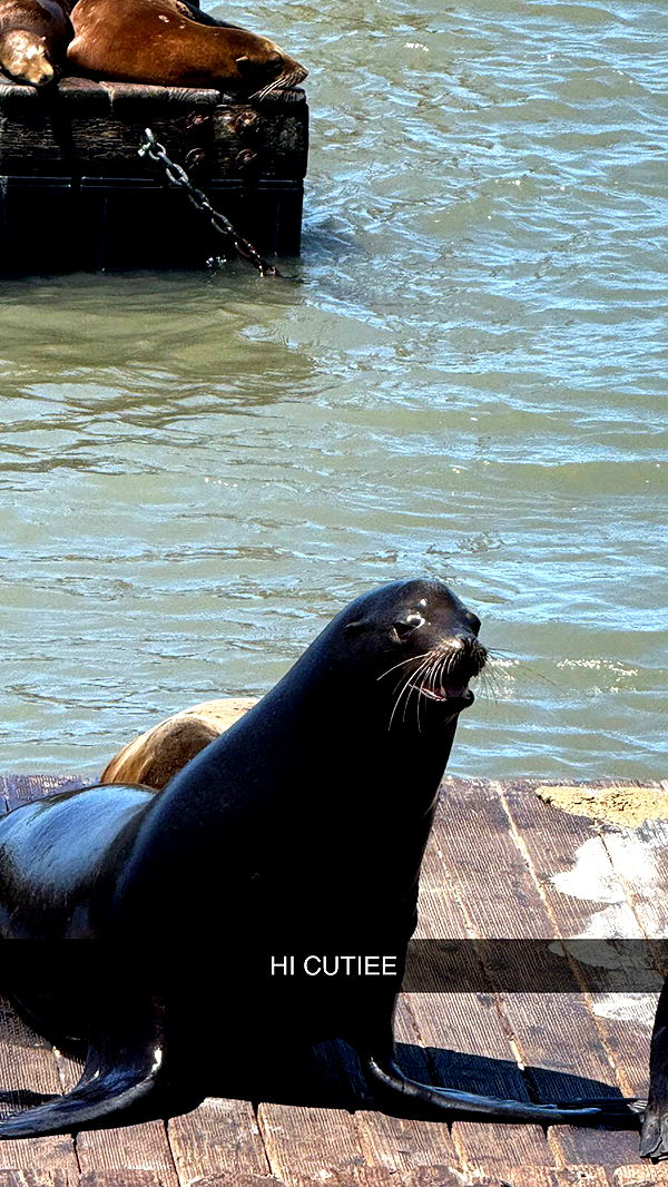 emilyelizabbeth image ~ Altpins