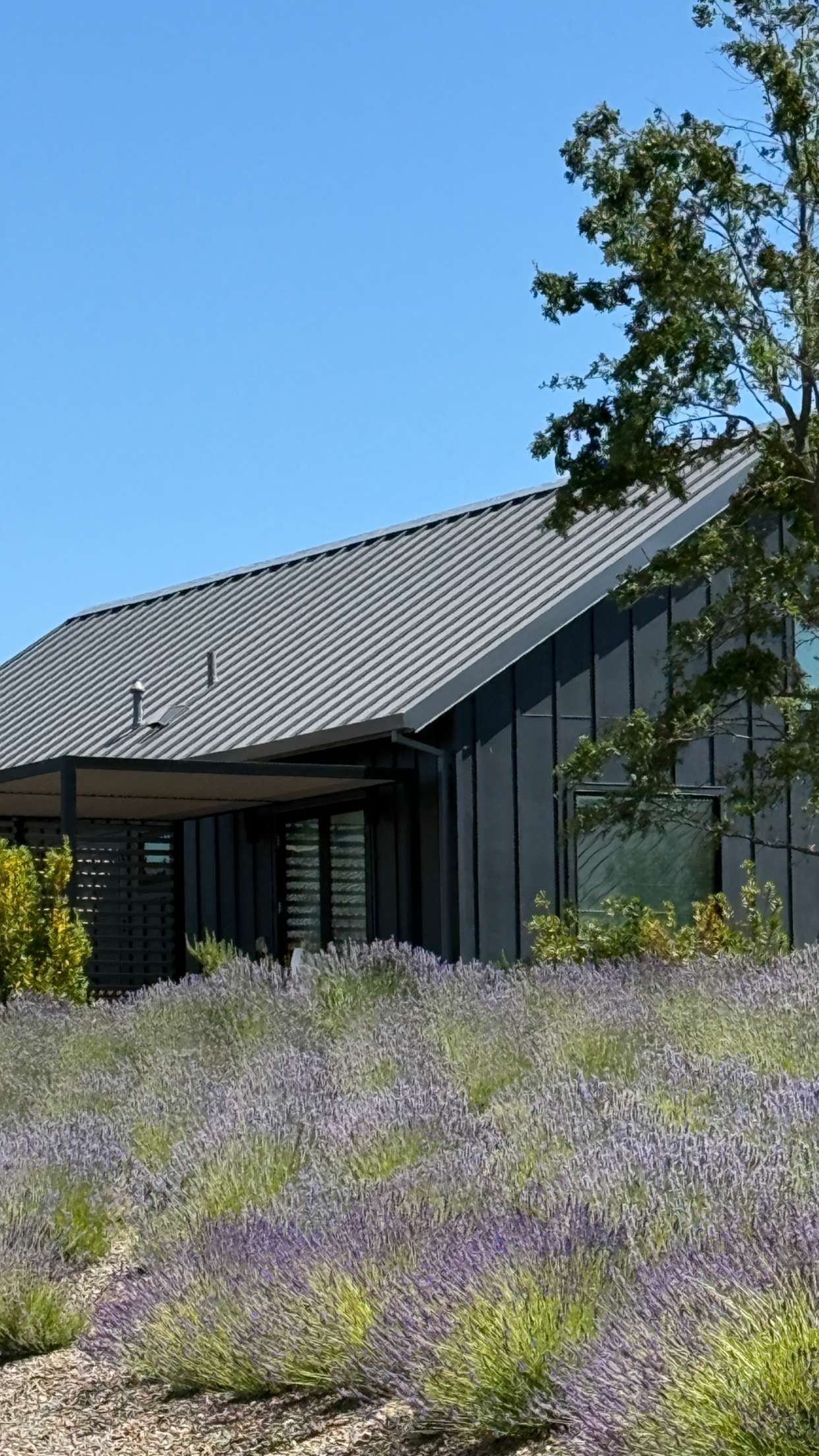 emilyelizabbeth snapchat image archive image