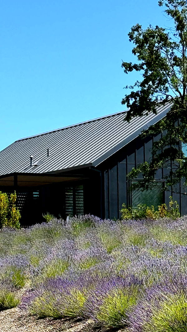 emilyelizabbeth image ~ Altpins