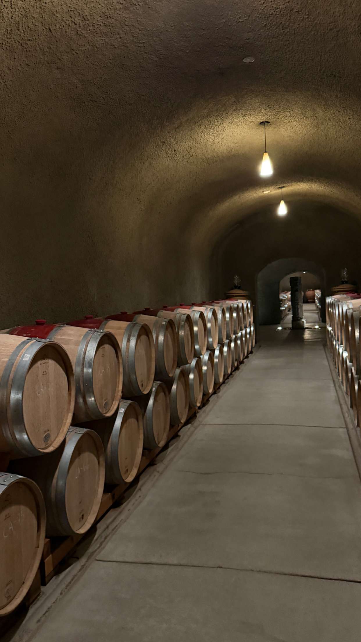 emilyelizabbeth snapchat image archive image